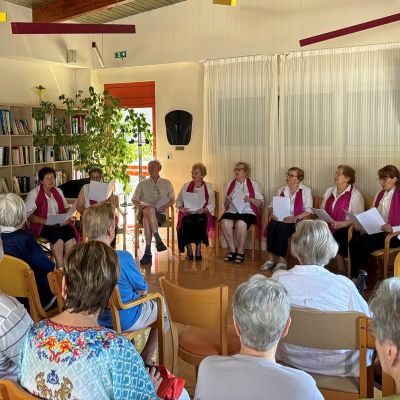 Prvi koncert domske klape