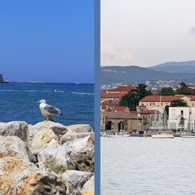 Obalne priče